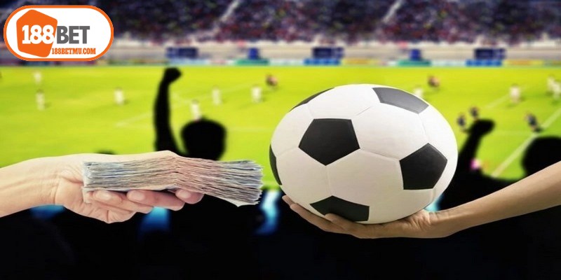 Cách chơi kèo Draw No Bet cho người mới